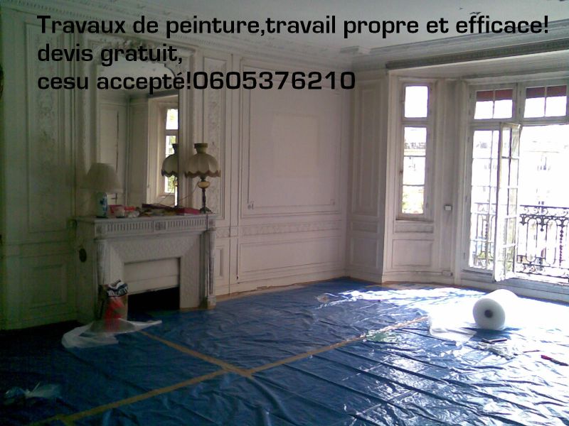 Travaux de rnovations habitat intrieur,travaux de peinture,Cesu accept.