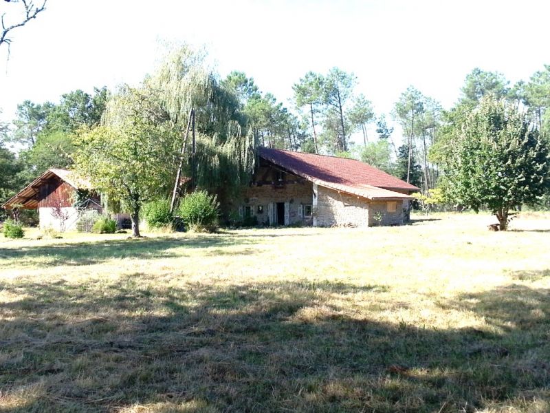 Ferme landaise pr. amateurs cheveaux ou maison d'hotes