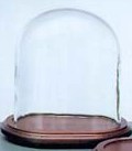 cloche de verre