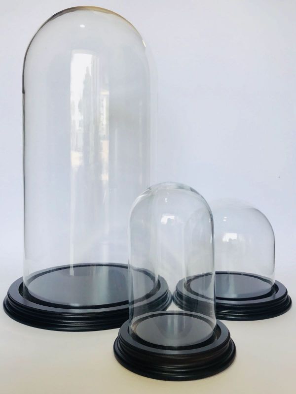 Globes cloches en verre ronds et ovales
