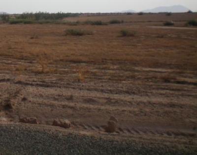 Terrain du 1 hectare 10 km a marrakech