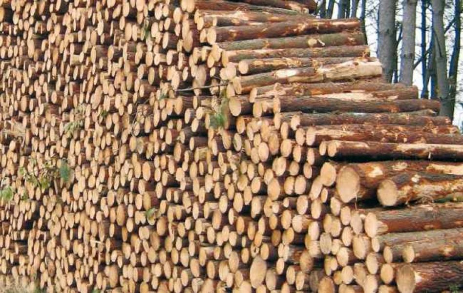 Grande promotion de bois de chauffage 100% sec+livraison gratuite a 30€
