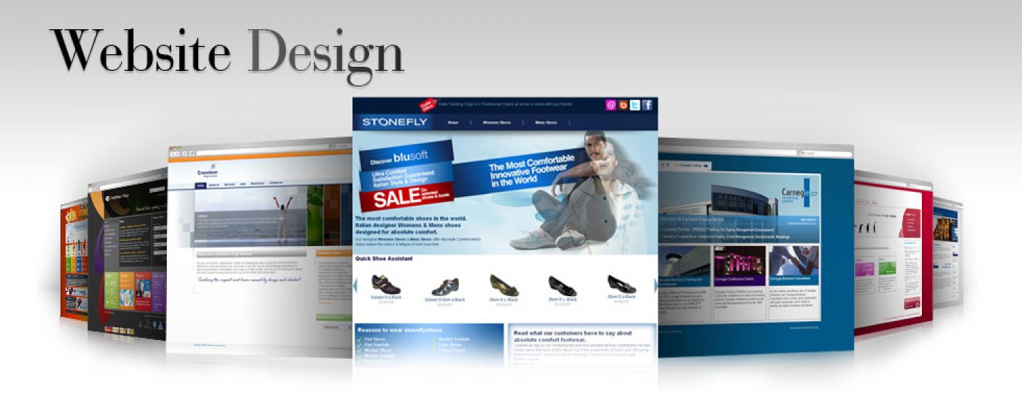 Website designing, banner designing in delhi starting at only 700