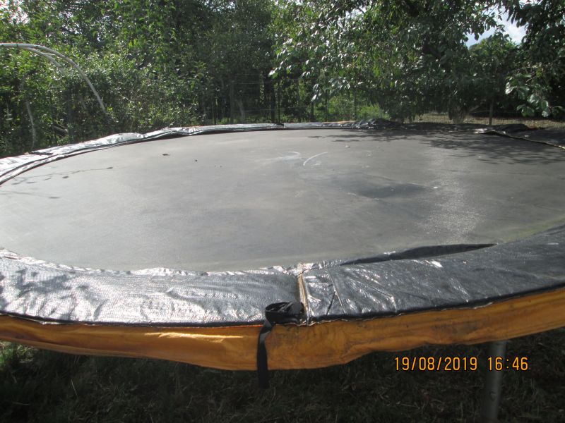 Trampoline