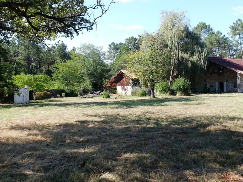 Maison d'htes ferme landaise 5 chambres  vendre