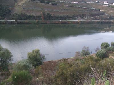  bords de rivir  Douro Vinhateiro